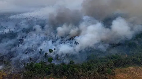 Tropical forests destroyed at fastest recorded rate last year Tropical forests destroyed at fastest recorded rate last year