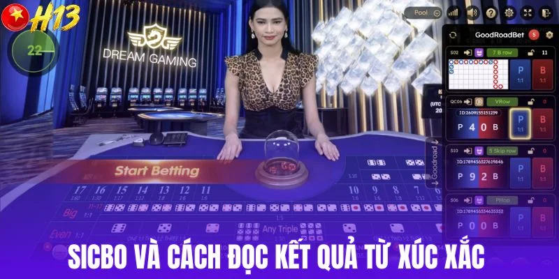 Sicbo và cách đọc kết quả từ xúc xắc 